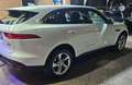 Jaguar F-Pace F-Pace 2.0d i4 Prestige awd 180cv auto my20 Bianco - thumbnail 3