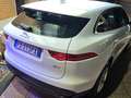 Jaguar F-Pace F-Pace 2.0d i4 Prestige awd 180cv auto my20 Bianco - thumbnail 17