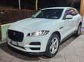 Jaguar F-Pace F-Pace 2.0d i4 Prestige awd 180cv auto my20 Bianco - thumbnail 23