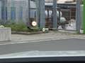 BMW 135 M135i xDrive Hatch Head-Up HK HiFi DAB LED WLAN Blanco - thumbnail 33
