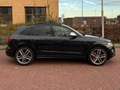Audi SQ5 Audi SQ5 3.0 V6 TDI  PANO/B&O/KEYLESS/ALARM Zwart - thumbnail 5