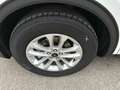 Ford Kuga Titanium White - thumbnail 7