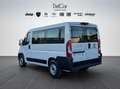 Fiat Fiat Ducato Panorama 30 Quintali 2.2 Mjet 140 Cv. Bianco - thumbnail 4