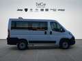 Fiat Fiat Ducato Panorama 30 Quintali 2.2 Mjet 140 Cv. Bianco - thumbnail 7