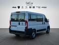 Fiat Fiat Ducato Panorama 30 Quintali 2.2 Mjet 140 Cv. Bianco - thumbnail 6