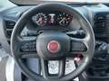 Fiat Fiat Ducato Panorama 30 Quintali 2.2 Mjet 140 Cv. Bianco - thumbnail 10
