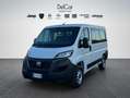 Fiat Fiat Ducato Panorama 30 Quintali 2.2 Mjet 140 Cv. Bianco - thumbnail 2
