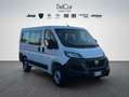 Fiat Fiat Ducato Panorama 30 Quintali 2.2 Mjet 140 Cv. Bianco - thumbnail 8