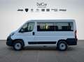 Fiat Fiat Ducato Panorama 30 Quintali 2.2 Mjet 140 Cv. Bianco - thumbnail 3