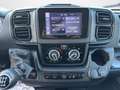 Fiat Fiat Ducato Panorama 30 Quintali 2.2 Mjet 140 Cv. Bianco - thumbnail 15