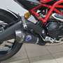 Ducati Monster 797 Monster 797 ABS Rouge - thumbnail 3