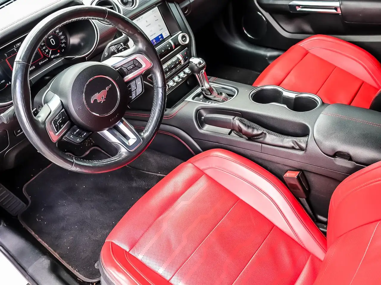 Ford Mustang fotografie Ford Mustang