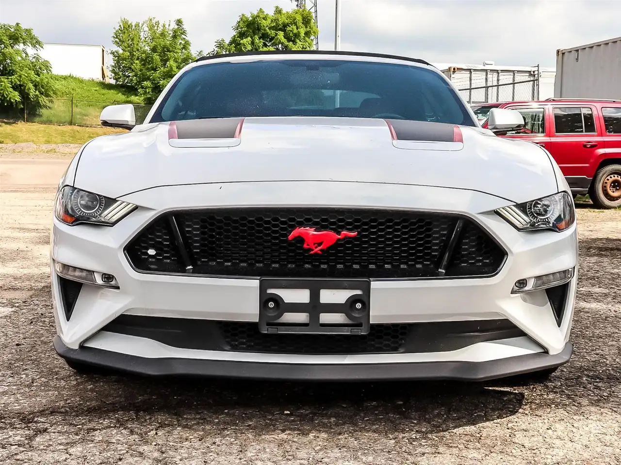 Ford Mustang fotografie Ford Mustang