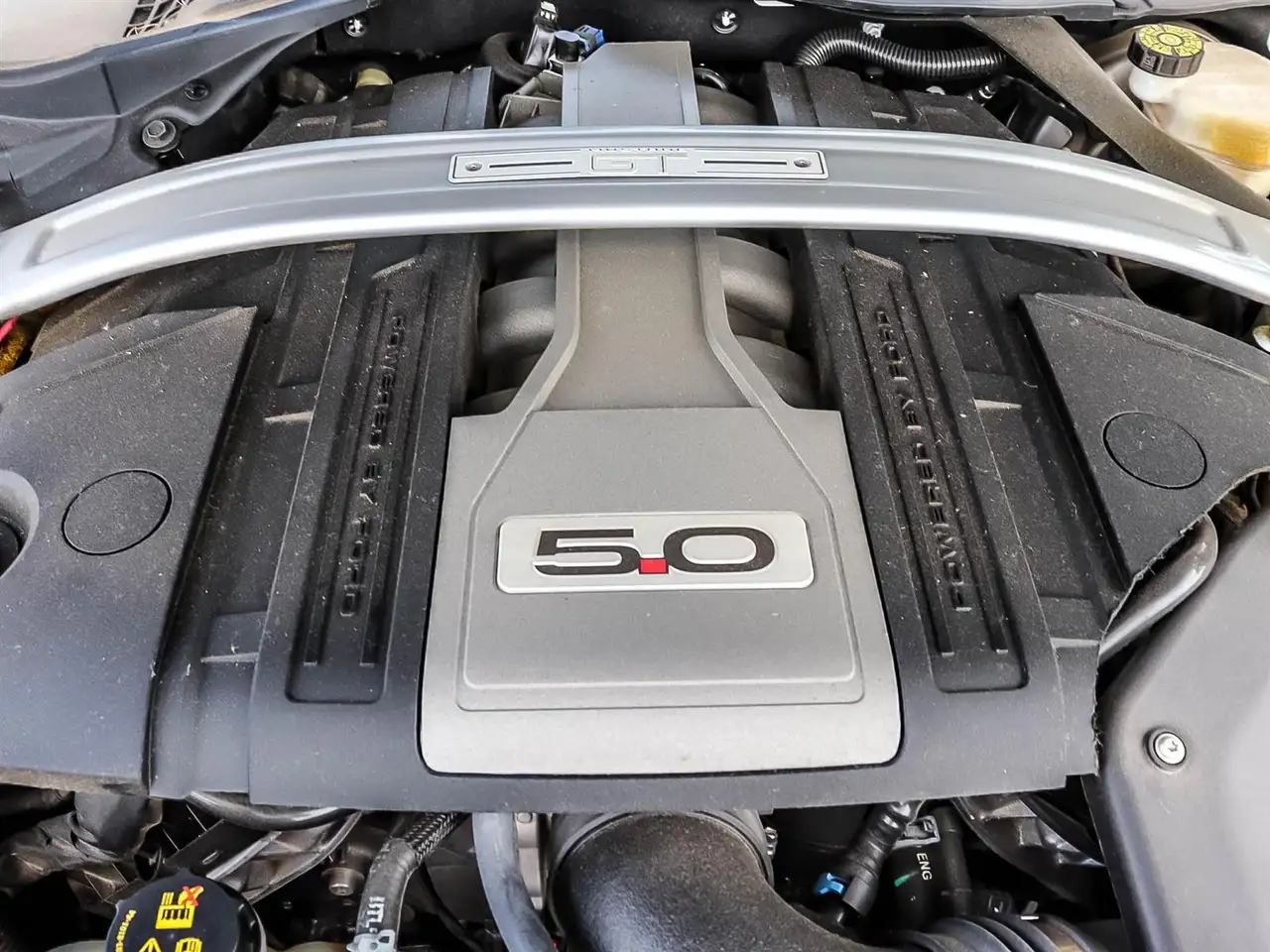 Ford Mustang fotografie Ford Mustang