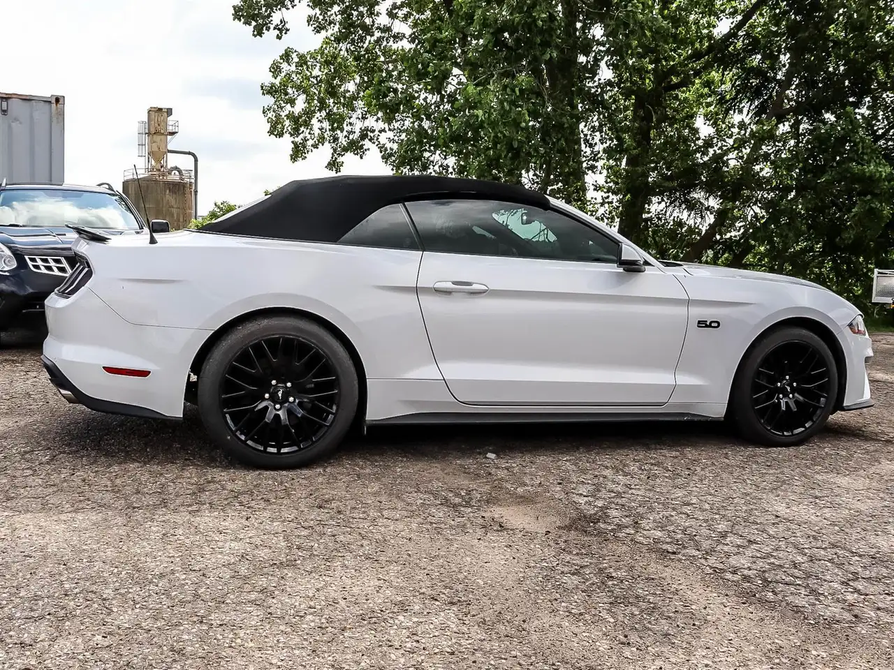 Ford Mustang fotografie Ford Mustang