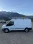 Ford Transit ALLRAD.  4.4. !!!!    KLIMA. !!! - thumbnail 3