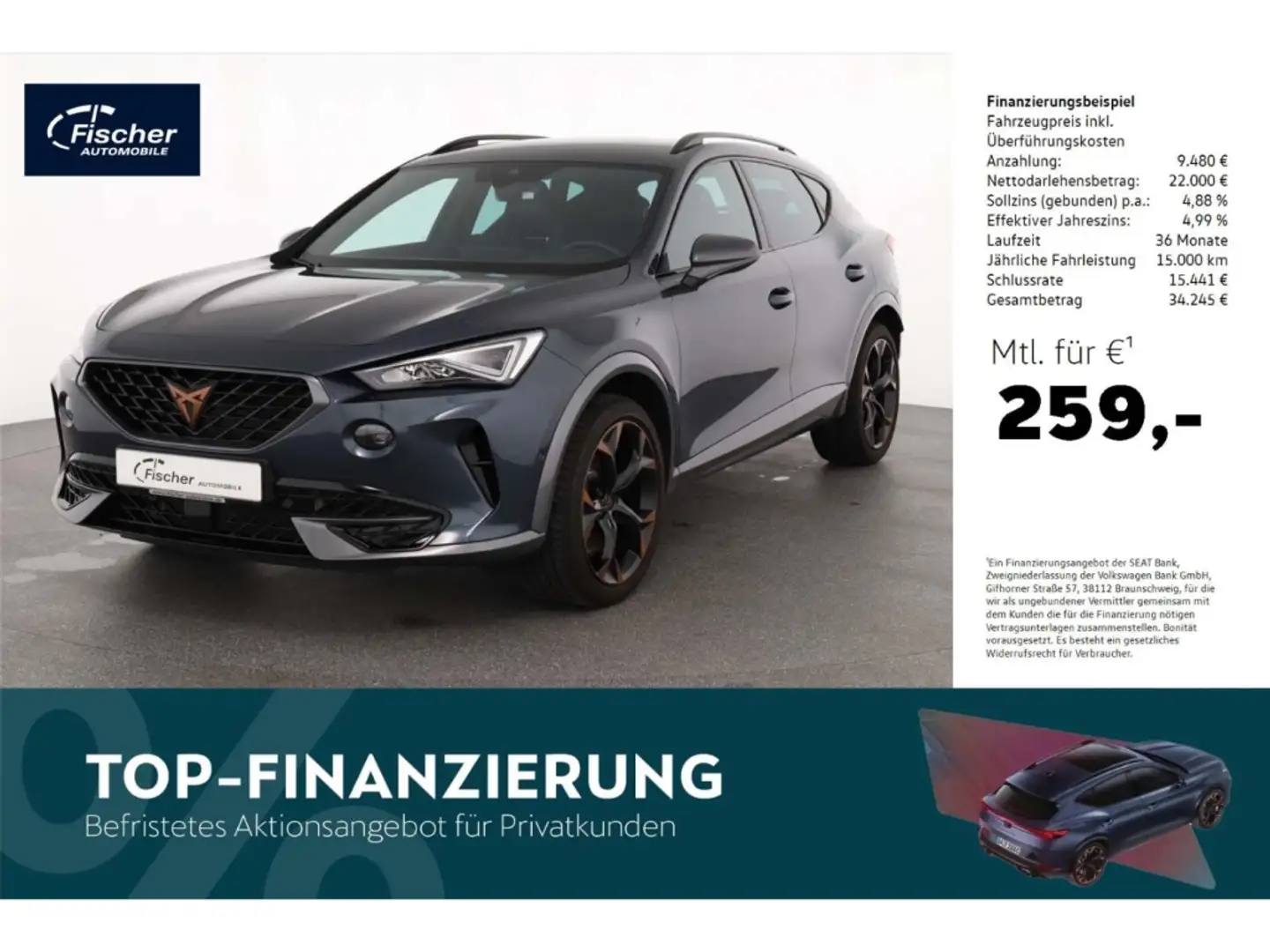 CUPRA Formentor 2.0 TSI 4Drive VZ Grau - 1