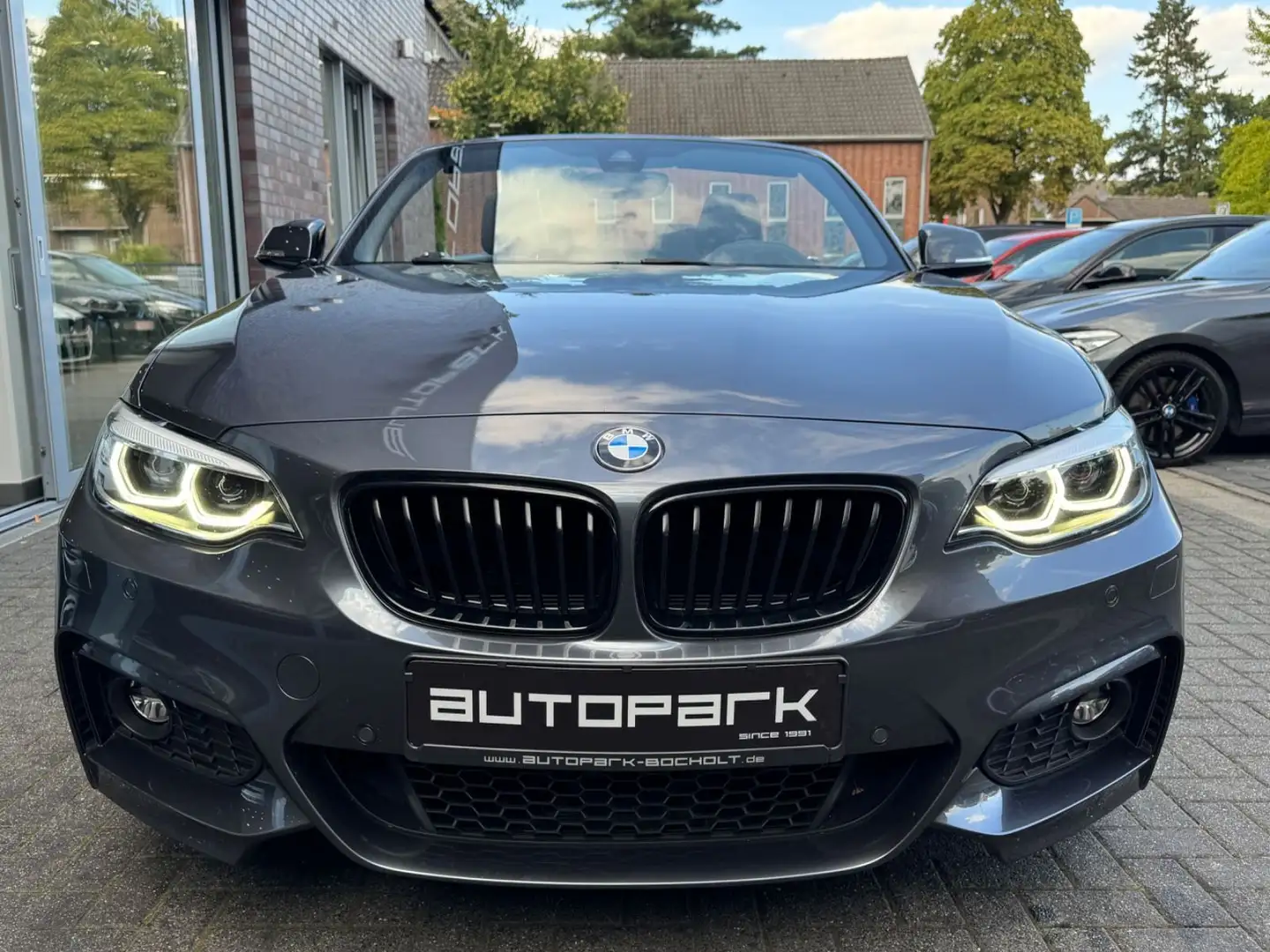 BMW 220 i Cabrio M Sport OpenAir h&k CAM NaviPro 18" Gris - 2