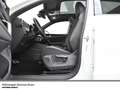 Volkswagen Tiguan R-Line 2.0 TDI 4MOTION Navi AHK BlackStyle Weiß - thumbnail 12