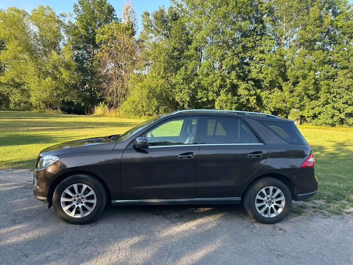 Mercedes-Benz ML 250 ML 250 CDI BlueTec (166.004) - 1