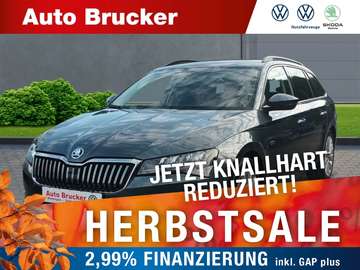 Combi 2.0 Ambition TDI+Anhängerkupplung+Sprachsteu