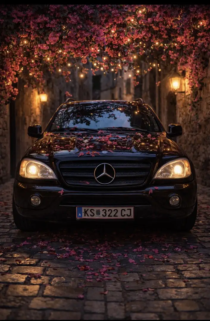 Mercedes-Benz ML 55 AMG Aut. Schwarz - 1