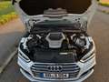 Audi S5 S5 Cabrio 3.0 TFSI AHK/B&O/MATRIX/HUD Weiß - thumbnail 10