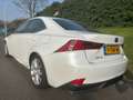Lexus IS 300 300h Business Line Pro - Navi - Camera - Parelmoer Weiß - thumbnail 6