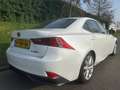 Lexus IS 300 300h Business Line Pro - Navi - Camera - Parelmoer Weiß - thumbnail 3