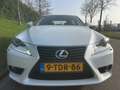 Lexus IS 300 300h Business Line Pro - Navi - Camera - Parelmoer Weiß - thumbnail 19