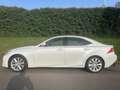 Lexus IS 300 300h Business Line Pro - Navi - Camera - Parelmoer Weiß - thumbnail 5