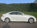 Lexus IS 300 300h Business Line Pro - Navi - Camera - Parelmoer Weiß - thumbnail 2
