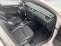 Skoda Octavia Combi 2.0 TDI DSG RS 4x4 Weiß - thumbnail 9