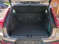 Volvo XC40 Plus Bright AWD B4 EU6d Digitales Cockpit Memory S Gris - thumbnail 6