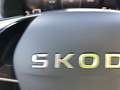 Skoda Kamiq Tour AHZV Kamera SmartLink Matrix Rojo - thumbnail 9