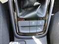 Skoda Kamiq Tour AHZV Kamera SmartLink Matrix Rojo - thumbnail 19
