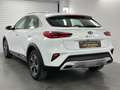 Kia XCeed Vision Plug-in Hybrid Kamera Carplay LED Weiß - thumbnail 13