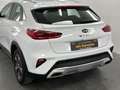 Kia XCeed Vision Plug-in Hybrid Kamera Carplay LED Weiß - thumbnail 14