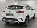 Kia XCeed Vision Plug-in Hybrid Kamera Carplay LED Weiß - thumbnail 11