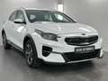 Kia XCeed Vision Plug-in Hybrid Kamera Carplay LED Weiß - thumbnail 3