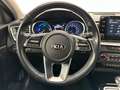 Kia XCeed Vision Plug-in Hybrid Kamera Carplay LED Weiß - thumbnail 29
