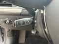Audi A6 A6 Avant 3,0 TDI Quattro intense S-tronic DR.VORBE Grau - thumbnail 18