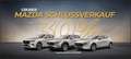 Skoda Enyaq 60 Matrix Navi Kamera SHZ Smartlink ACC LM Blau - thumbnail 22