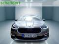 Skoda Fabia 1.0 TSI Tour DSG LED Klimaautomatik Sitzheizung Grau - thumbnail 5