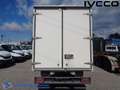 Iveco Daily 35C16 Box Weiß - thumbnail 5