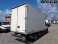 Iveco Daily 35C16 Box Weiß - thumbnail 4