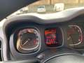 Fiat Panda Panda III 2021 1.0 firefly hybrid s Gris - thumbnail 13