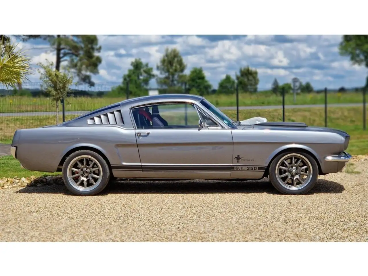 Ford Mustang CLONE GT 350 1965 GRISE, foto 3