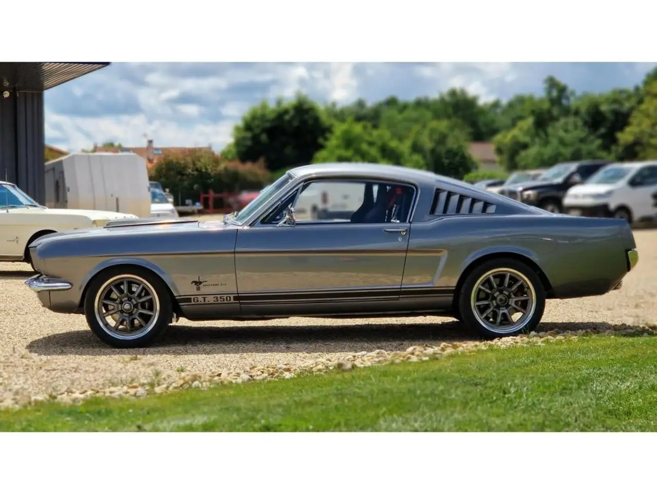 Ford Mustang CLONE GT 350 1965 GRISE, foto 9