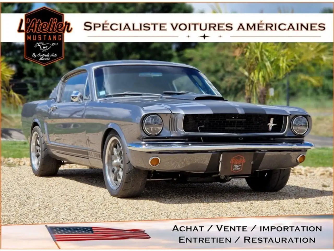 Ford Mustang CLONE GT 350 1965 GRISE, foto 1